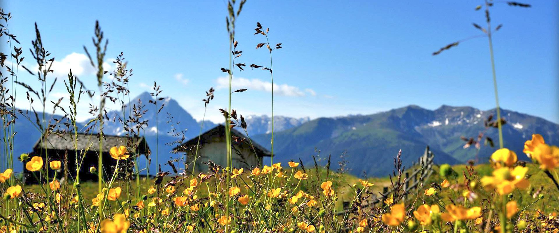 sommerurlaub südtirol