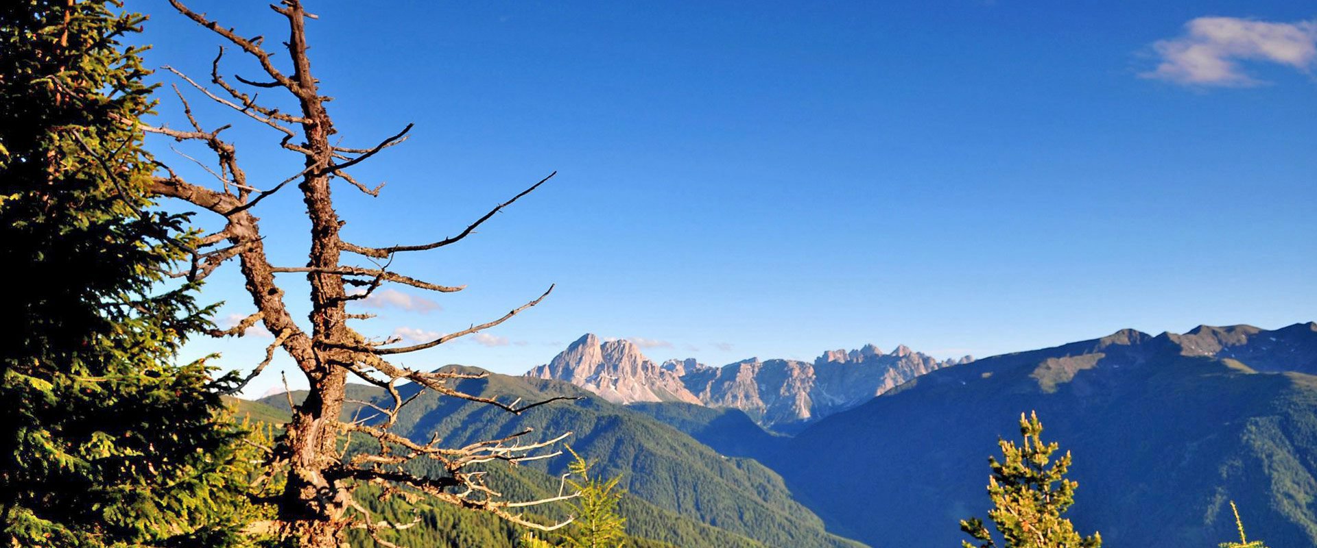 sommerurlaub südtirol